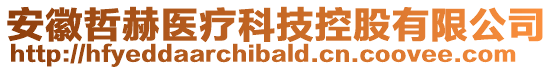 安徽哲赫醫(yī)療科技控股有限公司