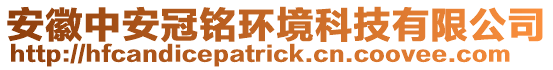 安徽中安冠銘環(huán)境科技有限公司