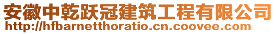 安徽中乾躍冠建筑工程有限公司