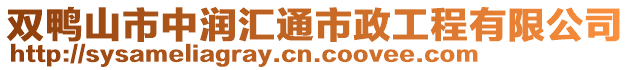 雙鴨山市中潤匯通市政工程有限公司