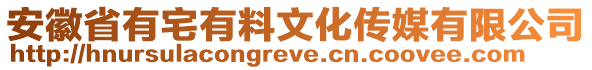 安徽省有宅有料文化傳媒有限公司