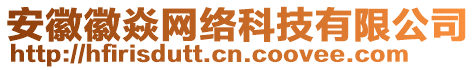 安徽徽焱網(wǎng)絡(luò)科技有限公司