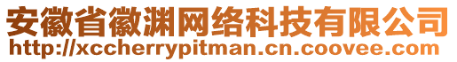 安徽省徽淵網(wǎng)絡(luò)科技有限公司