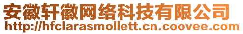 安徽軒徽網(wǎng)絡(luò)科技有限公司