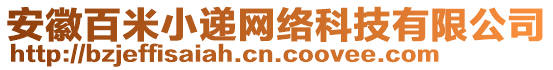 安徽百米小遞網(wǎng)絡(luò)科技有限公司