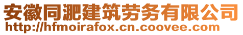 安徽同淝建筑勞務(wù)有限公司