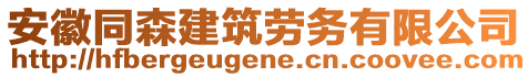 安徽同森建筑勞務有限公司