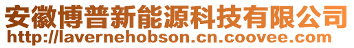 安徽博普新能源科技有限公司