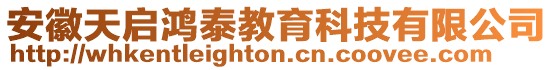 安徽天啟鴻泰教育科技有限公司