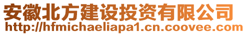 安徽北方建設(shè)投資有限公司