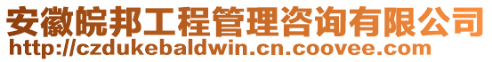 安徽皖邦工程管理咨詢有限公司