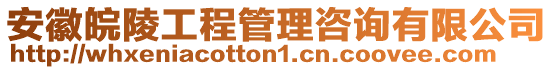 安徽皖陵工程管理咨詢有限公司