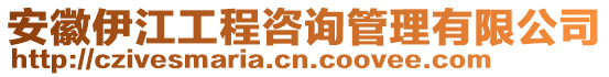 安徽伊江工程咨詢管理有限公司