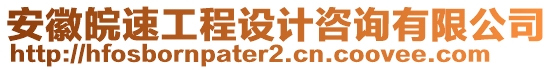 安徽皖速工程設(shè)計咨詢有限公司