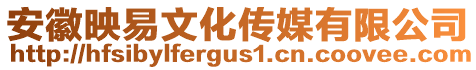 安徽映易文化傳媒有限公司
