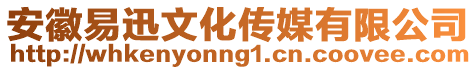 安徽易迅文化傳媒有限公司