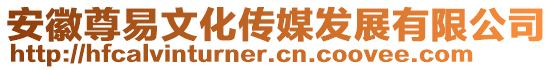 安徽尊易文化傳媒發(fā)展有限公司