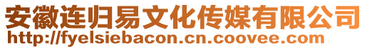 安徽連歸易文化傳媒有限公司