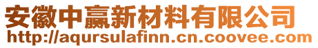 安徽中贏新材料有限公司