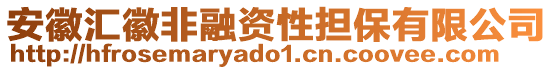 安徽匯徽非融資性擔保有限公司