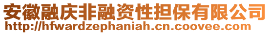 安徽融慶非融資性擔(dān)保有限公司