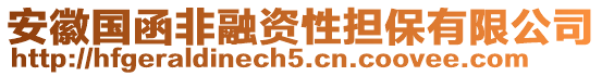 安徽國函非融資性擔保有限公司