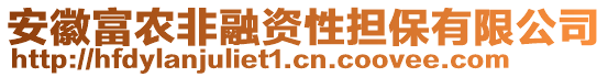 安徽富農(nóng)非融資性擔(dān)保有限公司