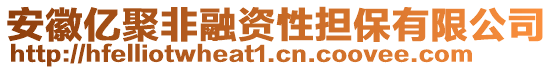 安徽億聚非融資性擔(dān)保有限公司