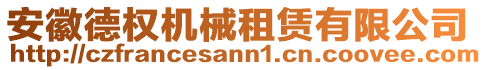 安徽德權機械租賃有限公司