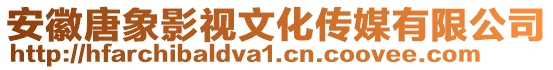 安徽唐象影視文化傳媒有限公司