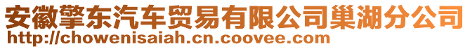 安徽擎東汽車貿(mào)易有限公司巢湖分公司