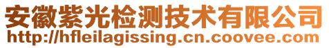 安徽紫光檢測(cè)技術(shù)有限公司