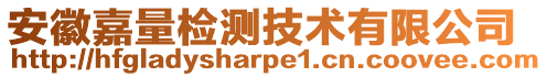 安徽嘉量檢測技術有限公司