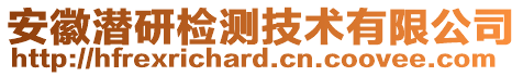 安徽潛研檢測技術有限公司