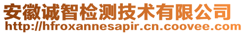 安徽誠智檢測技術有限公司