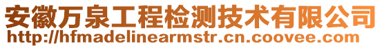 安徽萬(wàn)泉工程檢測(cè)技術(shù)有限公司