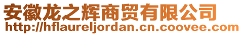 安徽龍之輝商貿有限公司