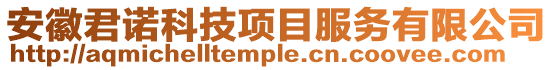 安徽君諾科技項目服務有限公司