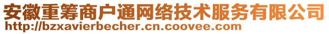 安徽重籌商戶通網(wǎng)絡(luò)技術(shù)服務(wù)有限公司