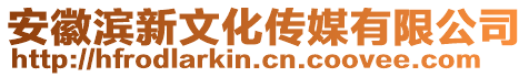 安徽濱新文化傳媒有限公司