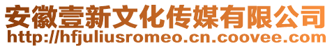 安徽壹新文化傳媒有限公司