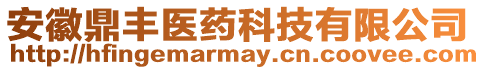 安徽鼎豐醫(yī)藥科技有限公司