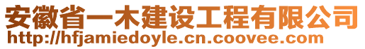 安徽省一木建設(shè)工程有限公司