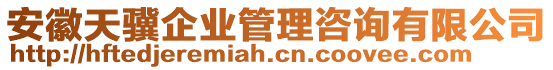 安徽天驥企業(yè)管理咨詢有限公司