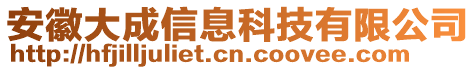 安徽大成信息科技有限公司