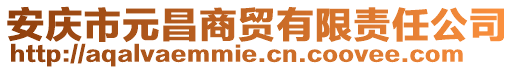 安慶市元昌商貿(mào)有限責任公司