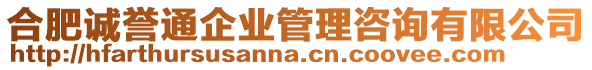 合肥誠譽(yù)通企業(yè)管理咨詢有限公司