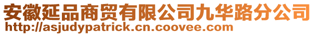 安徽延品商貿有限公司九華路分公司