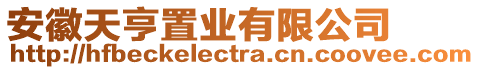 安徽天亨置業(yè)有限公司