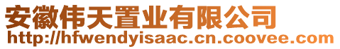 安徽偉天置業(yè)有限公司